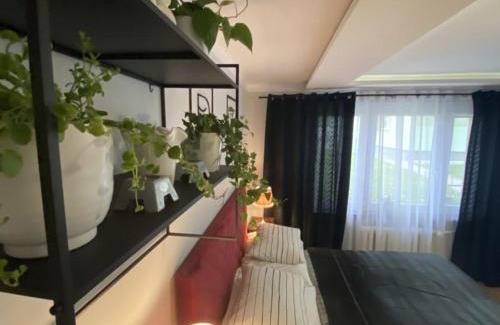 Bytom Apartment | Apartament , Sen i Kawa' - komfortowy nocleg w sercu aglomeracji