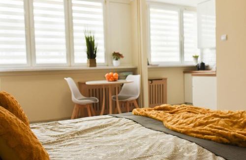 Dzierzoniow Apartment | Apartament Studio Klasztorna