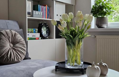 Torun Apartment | Apartament Studzienna