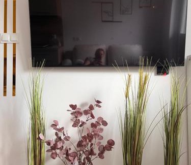 Biala Podlaska Apartment | Apartament Sukces