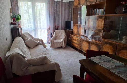 Torun Apartment | Apartament u Zegarmistrza z garażem