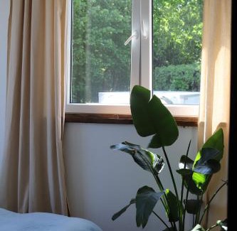 Bydgoszcz Apartment | Apartament w stylu boho 60m2