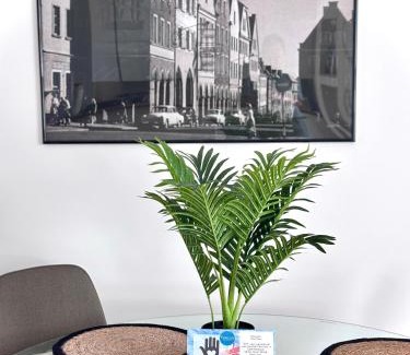 Olsztyn Apartment | Apartament WHITE GLOVE deluxe nad Łyną - stare miasto