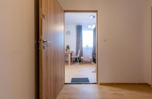 Gorzow Wielkopolski Apartment | Apartament Wiedeń 11 A