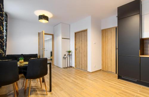 Gorzow Wielkopolski Apartment | Apartament Wiedeńska 15A PARKING bezpłatny Faktura VAT K-S SSE
