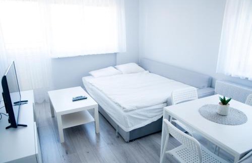 Witomino Apartment | Apartament Wiesio
