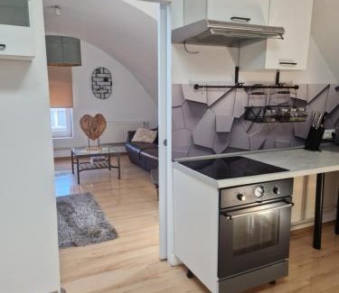 Wodzislaw Slaski Apartment | Apartament Wodzisław Śląski Blisko granicy
