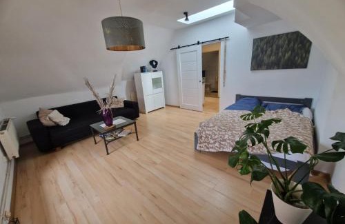 Wodzislaw Slaski Apartment | Apartament Wodzisław Śląski Blisko granicy