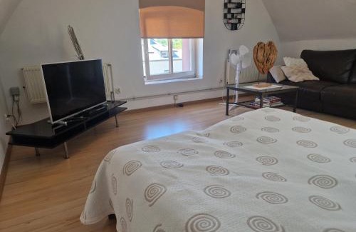 Wodzislaw Slaski Apartment | Apartament Wodzisław Śląski Blisko granicy