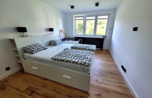 Cisna Apartment | Apartament Wrzos