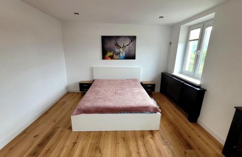Cisna Apartment | Apartament Wrzos