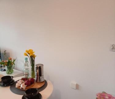 Radom Apartment | Apartament z Sauna i Jacuzzi
