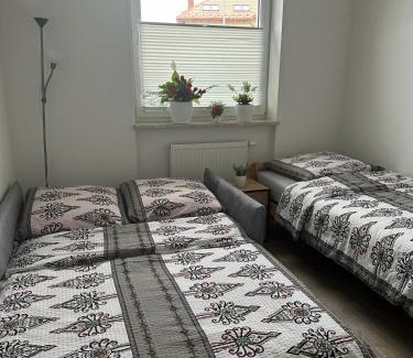 Sanok Apartment | APARTAMENT Z TARASEM STELLA