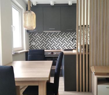 Busko-Zdroj Apartment | Apartament ZDRÓJ