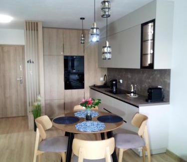 Jelenia Gora Apartment | Apartament Zielone Wzgórze 3