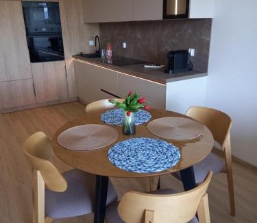 Jelenia Gora Apartment | Apartament Zielone Wzgórze 3