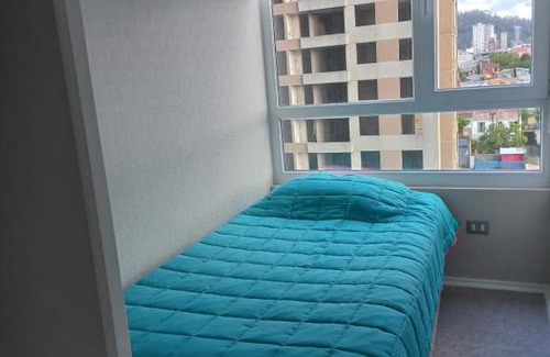 Concepcion Apartment | Apartamento Manuel Rodriguez 140