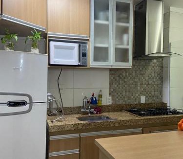 Sao Carlos Apartment | Apartamento Mari 4