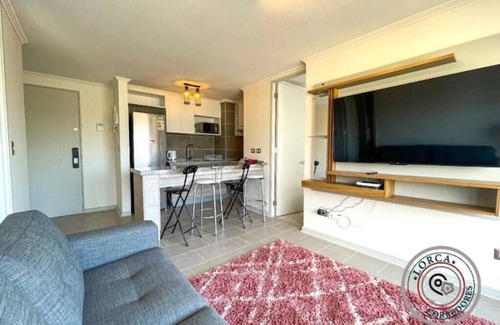 Vina del Mar Apartment | Apartamento Nuevo Centro Viña