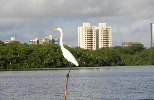 Coroa do Meio Apartment | Apartamento para alugar em Aracaju
