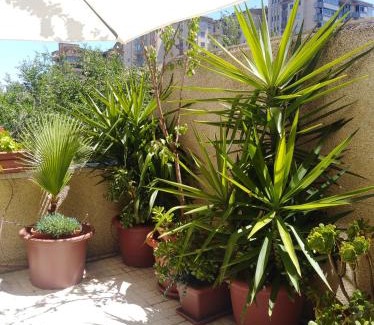 Parque del Principe Apartment | Apartamento Turístico Príncipe Cáceres AT-CC-00415
