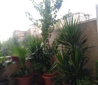 Parque del Principe Apartment | Apartamento Turístico Príncipe Cáceres AT-CC-00415