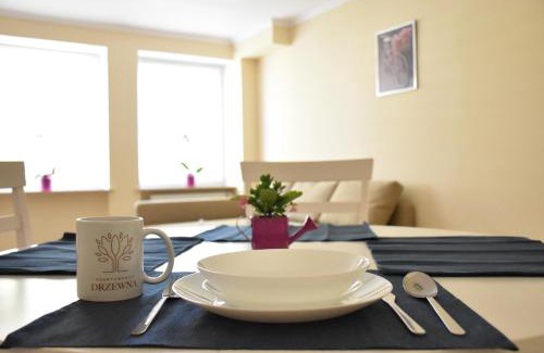 Centrum Apartment | Apartamenty Drzewna