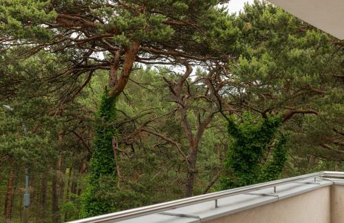 Jurata Apartment | Apartamenty In Jurata Ratibora 66