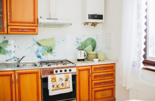 Yavory Apartment | Apartamenty Lwow