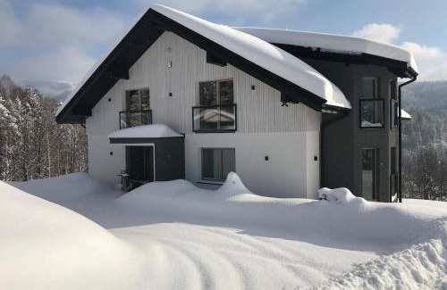 Wisla Apartment | Apartamenty 'Okno z widokiem'