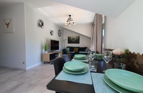 Wisla Apartment | Apartamenty Ski & Fun Spokojna
