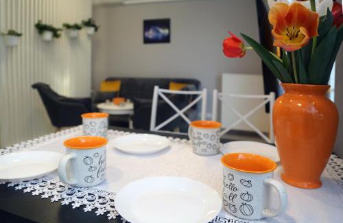 Uniejow Apartment | Apartamenty Uniejow "prywatne kapiele termalne"