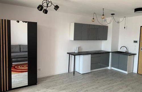 Skrzeszew Apartment | Apartamenty Wieliszew