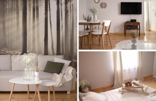 Zwierzyniec Apartment | Apartamenty Zwierzyniec