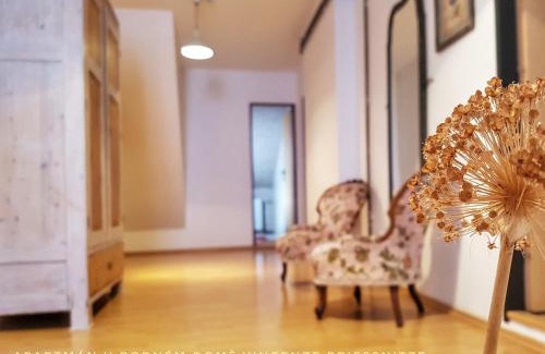 Lazne Jesenik Apartment | Apartmá v Rodném domě Vincenze Priessnitze v centru lázní