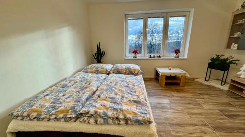 Spania Dolina Apartment | Apartmán ŠPANIA DOLINA