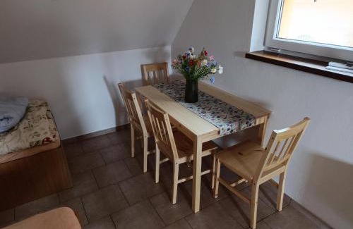 Velke Bilovice Apartment | Apartmán 480 Vino Strýček