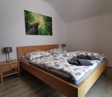 Loucna Pod Klinovcem Apartment | Apartmán 5 Klínovec