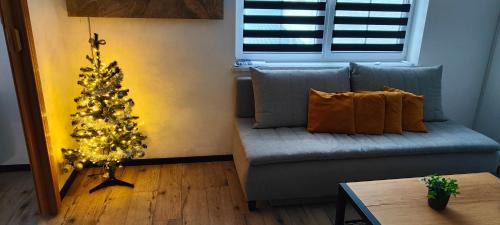 Vrbno pod Pradedem Apartment | Apartmán 604