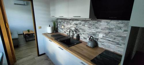 Vrbno pod Pradedem Apartment | Apartmán 604