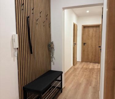 Loucna nad Desnou Apartment | Apartmán BeVi