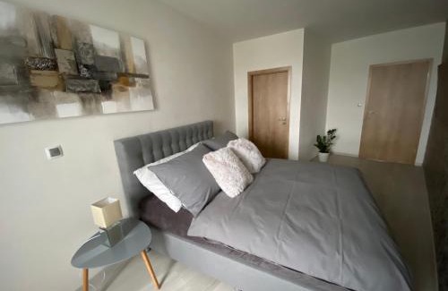 Plzen Apartment | Apartmán Champion