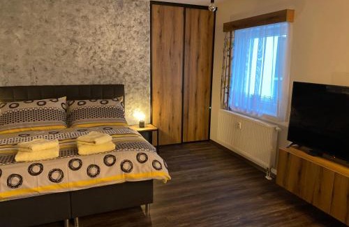 Plzen Apartment | Apartmán Champion II