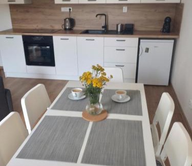Karlovice Apartment | Apartmán Karlovice - Jeseníky