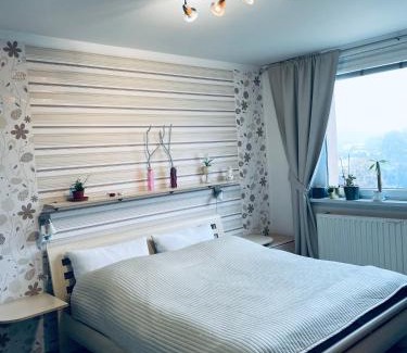 Luhacovice Apartment | Apartmán Luhačovice