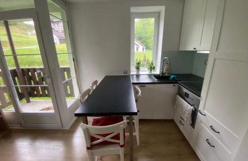 Rokytnice nad Jizerou Apartment | Apartmán Na Manhattanu