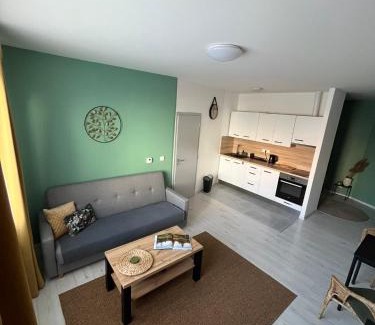 Tabor Apartment | Apartmán Na Dukelské s garáží