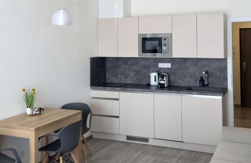 Lipno nad Vltavou Apartment | Apartmán Nad zátokou