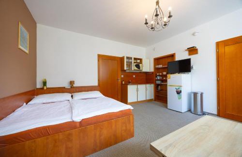 Olomouc Apartment | Apartmán Olomouc 2+KK