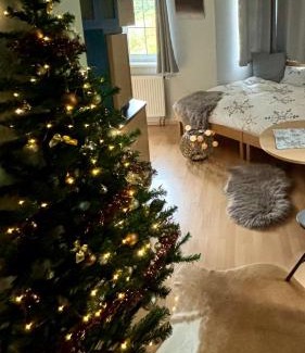 Pec pod Snezkou Apartment | Apartmán Pec 322